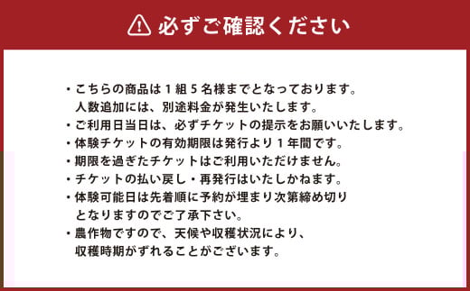【1組5名まで】 ～自然豊かな久住高原で育ったブルーベリーの収穫体験～ 収穫ブルーベリーのお土産付き！ 【体験期間：毎年6月下旬～8月下旬】