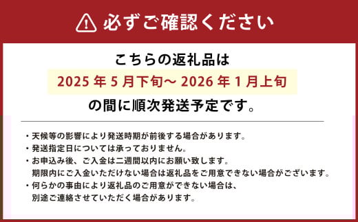 【竹田市産】高原トマト 4kg (約16～28個) 【ベジスタとまとちゃん】【2025年5月下旬-2026年1月上旬発送予定】