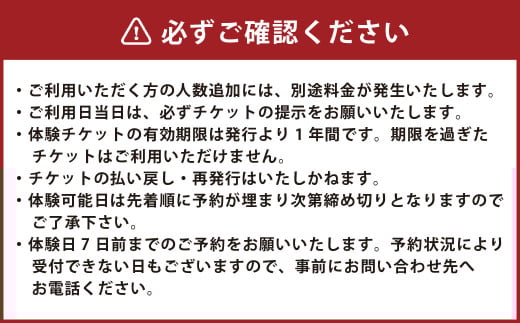 竹田を満喫！さをり織り（ストール） 体験チケット 1名様分