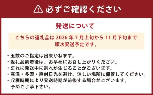 お試しサイズ まごころミニトマトの宝石箱 800g (約40～60玉) サンチェリーピュア 夏秋ミニトマト トマト 野菜 【2026年7月上旬から11月下旬まで発送予定】
