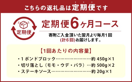 【6カ月定期便】 【ブロック ＆ 切り落とし】 おおいた和牛 1ポンドブロック 約450g ・ 切り落とし 約1kg（約500g×2） 約1.45kg×6回 計約8.7kg ステーキソース付