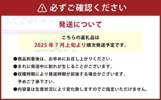音楽を聴いて育ったプチぷよ 一粒万倍 黒／赤BOX【30粒or42粒】【2025年7月上旬-11月上旬発送予定】