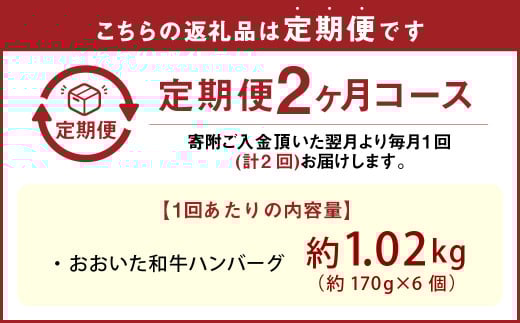 【2カ月定期便】【黒毛和牛】おおいた和牛ハンバーグ 計約1.02kg（約170g×6個）×2回 計約2.04kg