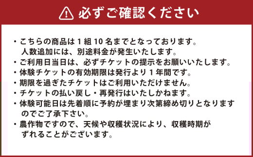 【1組10名】かわいいミニトマト収穫体験～【体験期間：9月下旬～10月下旬】