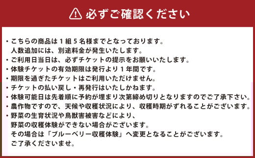 【1組5名まで】 ～自然豊かな久住高原で育った野菜の収穫体験～ 収穫お野菜のお土産付き！ 【体験期間：毎年7月下旬～9月下旬】