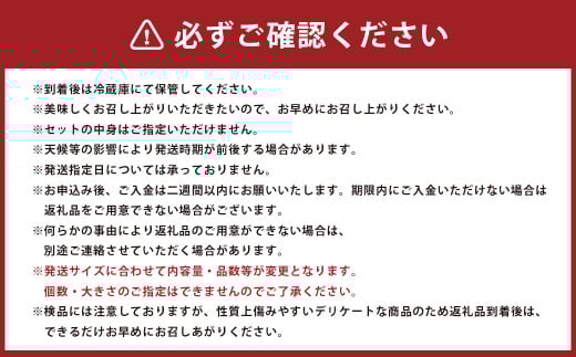 その時期の一番美味しいをお届け！ 竹田育ちの 「野菜詰め合わせセット」 B