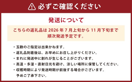 まごころミニトマトの宝石箱 1.7kg(約80～110玉)×2箱 計3.4kg サンチェリーピュア トマト【2026年7月上旬から11月下旬まで発送予定】