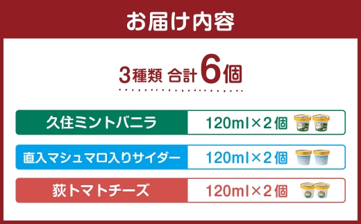 九州アルプス商工会女性部アイスクリーム 計6個入（各種2個入） 久住ミントバニラ 直入マシュマロ入りサイダー 荻トマトチーズ