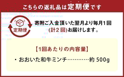 【2カ月定期便】 おおいた和牛 ミンチ 約500g 計約1kg