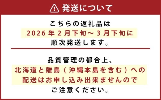 化粧箱入り ベリーツ 約540g 【2026年2月下旬-3月下旬発送】
