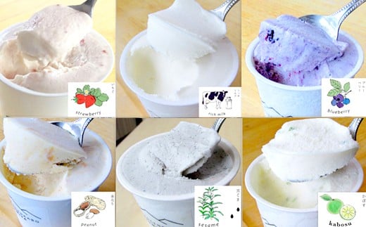 プレミアムアイスクリーム 6個入りセット（120ml×6個）