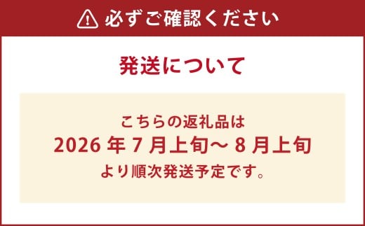 朝採りとうもろこし 恵味ゴールド 10本入り