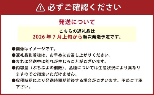 音楽を聴いて育った 「ミニトマト2段 黒 ／ 赤 BOX」