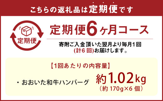 【6ヶ月定期便】【黒毛和牛】おおいた和牛ハンバーグ 計約1.02kg（約170g×6個）×6回 計約6.12kg