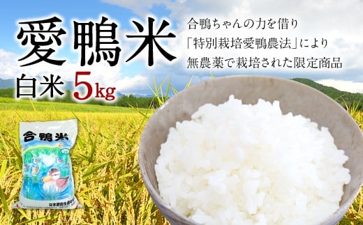 〈令和7年産〉愛鴨米 白米 5kg【2025年10月上旬～2026年10月上旬発送予定】