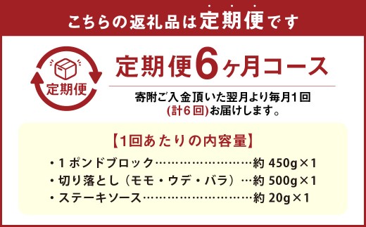 【6カ月定期便】 【ブロック ＆ 切り落とし】 おおいた和牛 1ポンドブロック 約450g ・ 切り落とし 約500g 約950g×6回 計約5.7kg ステーキソース付