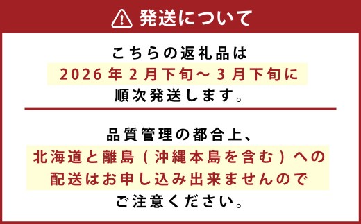化粧箱入り ベリーツ 約1kg【2026年2月下旬-3月下旬発送】