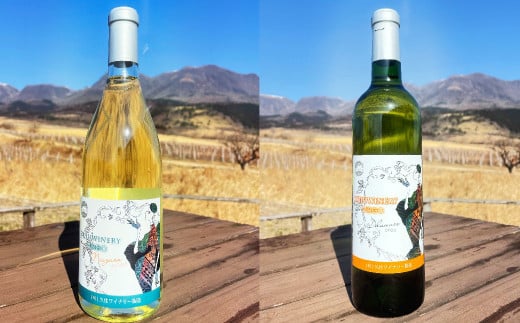 ラブルスカ系品種（ナイアガラ・デラウェア）2本セット