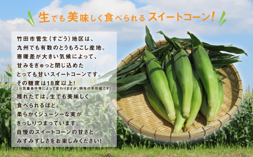 【卯野農場】産地直送！生でも美味しい 朝採れ スイートコーン 10本 3.5kg以上 とうもろこし コーン 【2026年7月上旬-8月下旬発送予定】