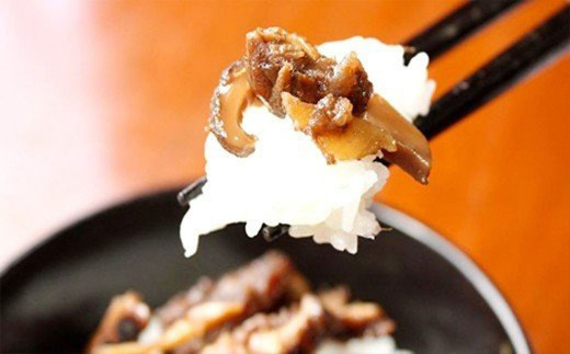 豊後牛と椎茸のしぐれ煮 100g×5袋（計500g）FB20