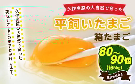 久住高原　平飼いたまご 箱たまご5kg 80~90個入