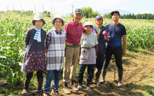 【体験期間毎年7月上旬～8月上旬限定】竹田市菅生のスイートコーン！その場でガブリ！収穫体験～お1人様5本持ち帰れる！～（1チケット15名様チケット）