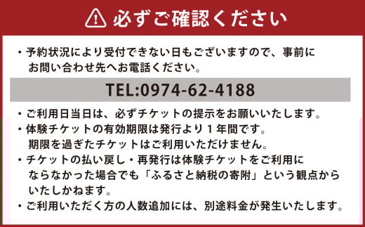竹田の城下町で体験！藍染体験「ストールコース」（チケット1名様分）
