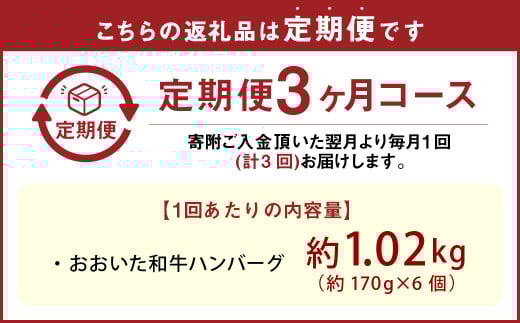 【3カ月定期便】【黒毛和牛】おおいた和牛ハンバーグ 計約1.02kg（約170g×6個）×3回 計約3.06kg