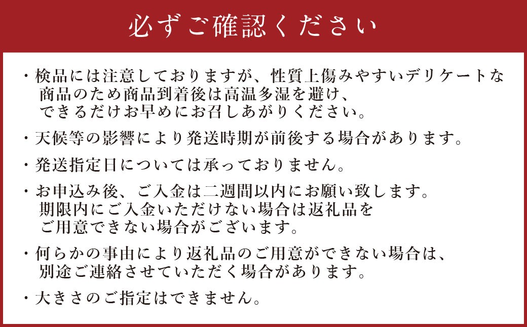 自然薯姫 （青果） 約2kg 【発送不可期間:毎年4月下旬-11月上旬】