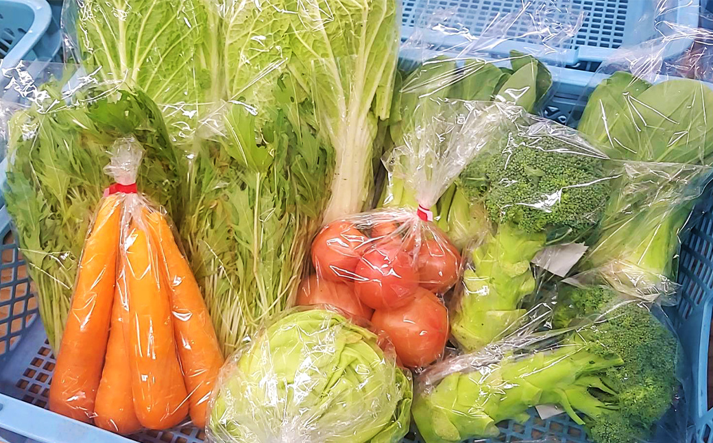 その時期の一番美味しいをお届け！ 竹田育ちの 「野菜詰め合わせセット」 A