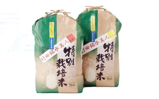 令和7年産 竹田銘水美人色選米 10kg 【白丹産：特別栽培米ヒノヒカリ】5kg×2袋