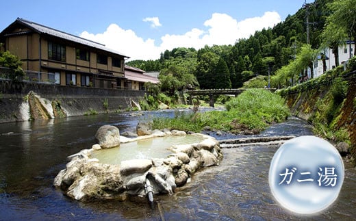 硬水 ミネラルウォーター マグナ300-500ml (24本セット) 水 飲料 長湯温泉水 竹田湧水