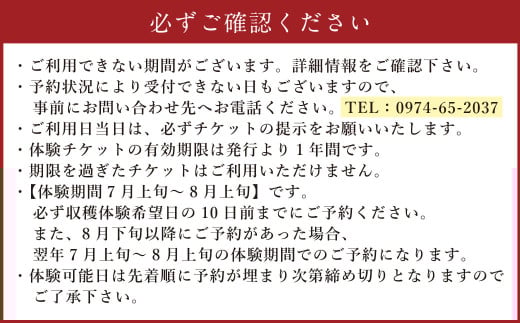 【体験期間毎年7月上旬～8月上旬限定】竹田市菅生のスイートコーン！その場でガブリ！収穫体験～お1人様5本持ち帰れる！～（1チケット15名様チケット）