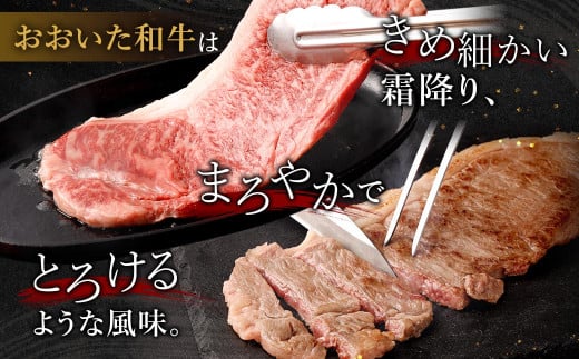 大分県産 豊後牛 サーロインステーキ 200g×2枚 計400g おおいた和牛（4等級以上）