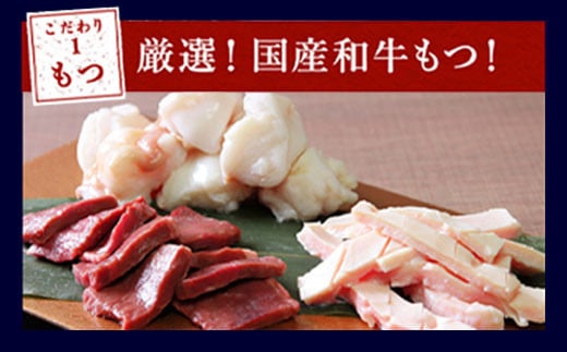 【6ヶ月定期便】もつ鍋 セット こってり味噌 4～5人前  【陽はまたのぼる】