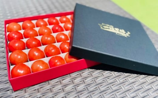 音楽を聴いて育ったプチぷよ 一粒万倍 黒／赤BOX【30粒or42粒】【2025年7月上旬-11月上旬発送予定】