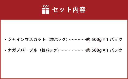 【数量限定】粒パック 訳あり シャインマスカット（約500g）&ナガノパープル（約500g） 計約1kg （各1パック）【2026年8月下旬-11月上旬発送開始予定】