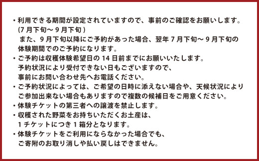 【1組5名まで】 ～自然豊かな久住高原で育った野菜の収穫体験～ 収穫お野菜のお土産付き！ 【体験期間：毎年7月下旬～9月下旬】