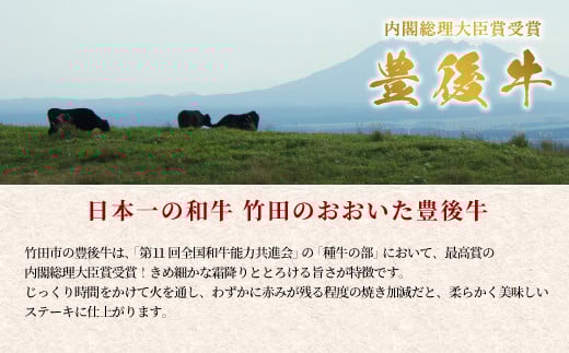 【定期便6回】日本一の和牛 おおいた豊後牛 1ポンド エアーズロック 極厚ステーキ 約454g×6回 計6ポンド （約2724g）
