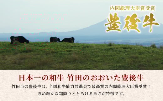 日本一の和牛 おおいた豊後牛 ＜モモスライス 800g＞