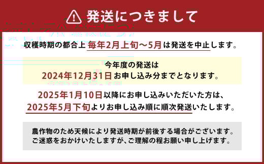 【竹田市産】高原トマト 4kg (約16～28個) 【ベジスタとまとちゃん】【2025年5月下旬-2026年1月上旬発送予定】