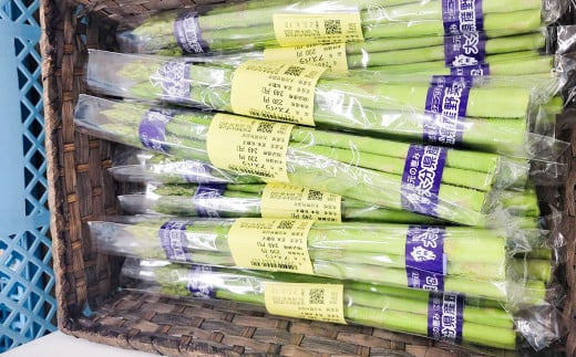 その時期の一番美味しいをお届け！ 竹田育ちの 「野菜詰め合わせセット」 A