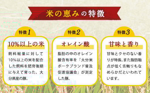 大分県産ブランド豚 奥豊後豚（米の恵み）カタロースブロック 1.8kg(1.8kg×1)