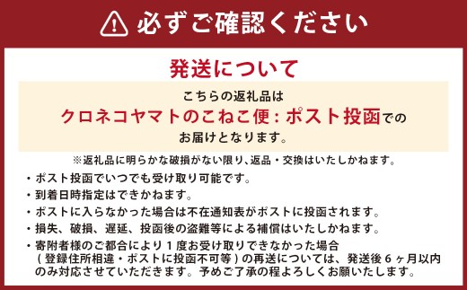 竹田3色そうめん （ スイートコーン ・ かぼす ・ トマト ）各1袋 計約270g（約90g×3袋）