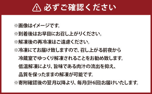 【6ヶ月定期便】おおいた和牛すき焼き用 希少部位ブリスケスライス（すき焼きカルビ） 約600g ×6回 計約3.6kg