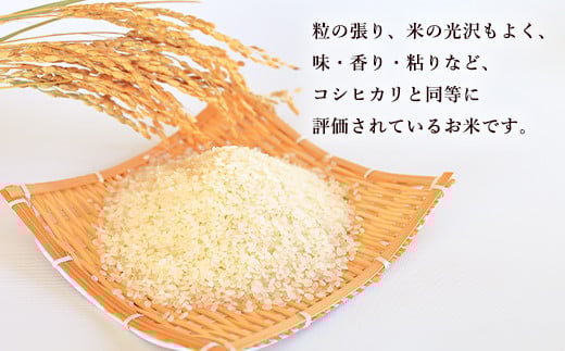 【6ヶ月定期便】大分県産 ひとめぼれ 5kg 計30kg 【2025年11月上旬発送開始】