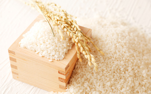 令和7年産 竹田銘水美人色選米 白丹産特別栽培米 ひとめぼれ 10kg