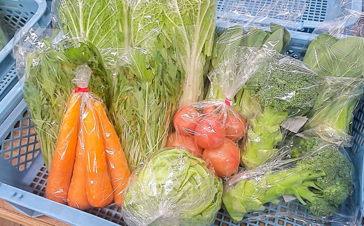 その時期の一番美味しいをお届け！ 竹田育ちの 「野菜詰め合わせセット」 B