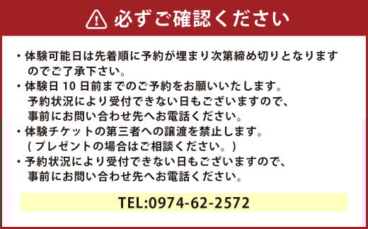 竹田市商店街で体験！【おし花工房いちりん草】のおし花で手づくり体験～花あかり（小）～（チケット1名様分）