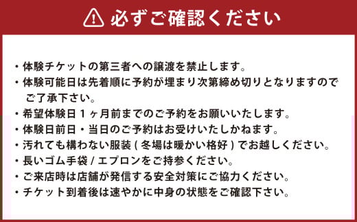 竹田の城下町で体験！藍染体験「ストールコース」（チケット1名様分）